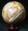 Colorful Petrified Wood Sphere #20611-1